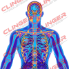 A neon-colored X-ray style image of a human torso with target rings overlaid on the head, chest, abdomen, and lower torso. Clinger Holsters branding and address are displayed at the top, with a QR code in the top right corner.